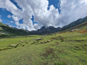 Vishansar Valley trek