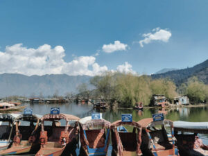 Shikaras In Dal lake